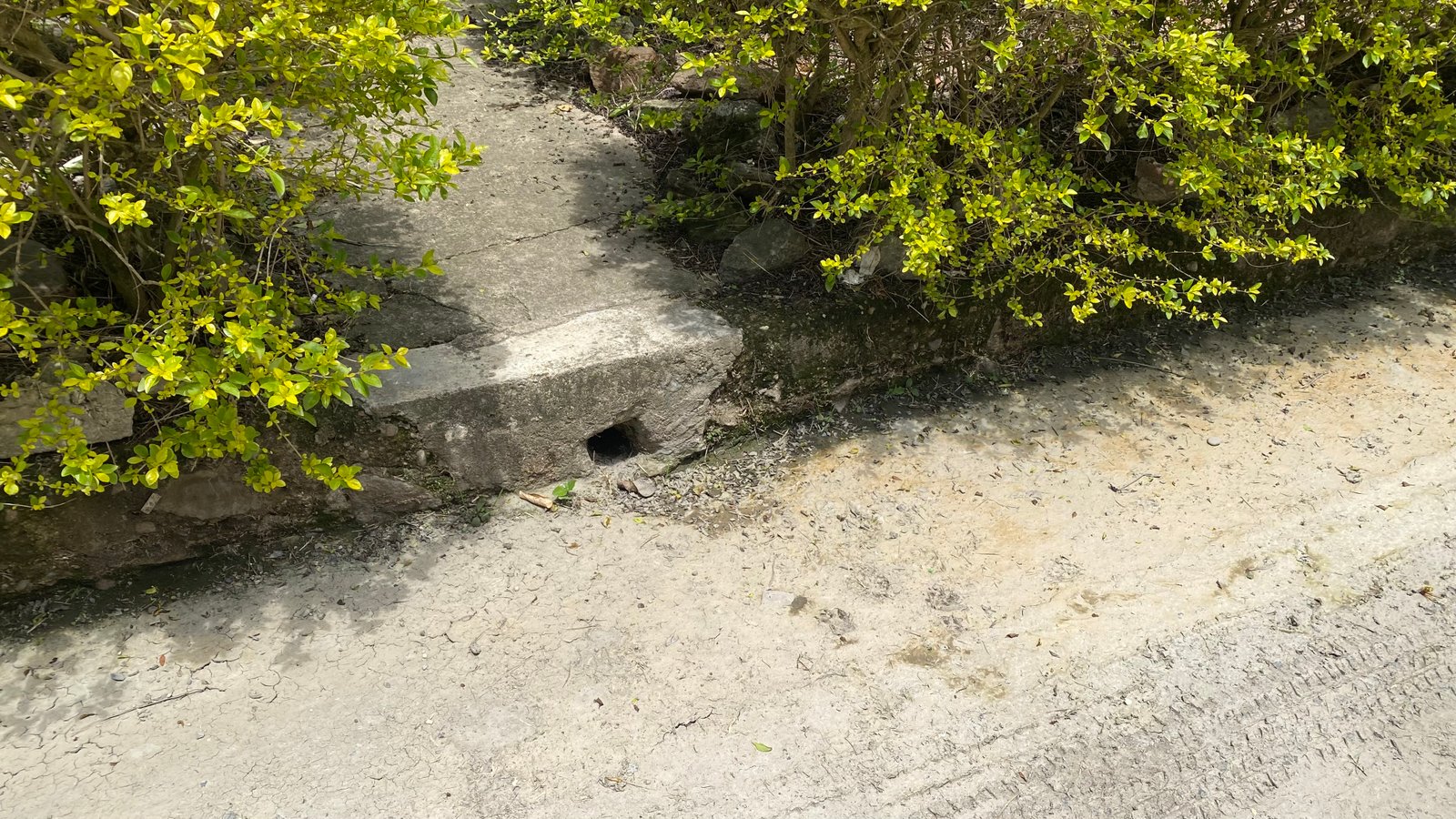Tubería comunitaria colmatada de lodos